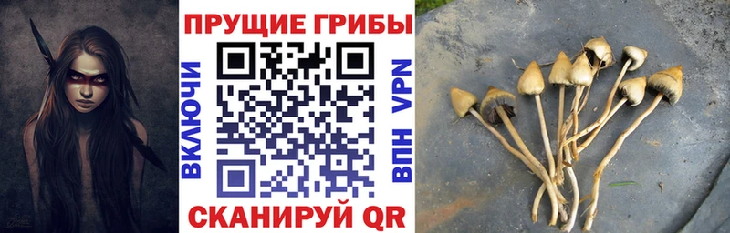 Купить где  Ильский  Галлюциногенные грибы мухоморы 